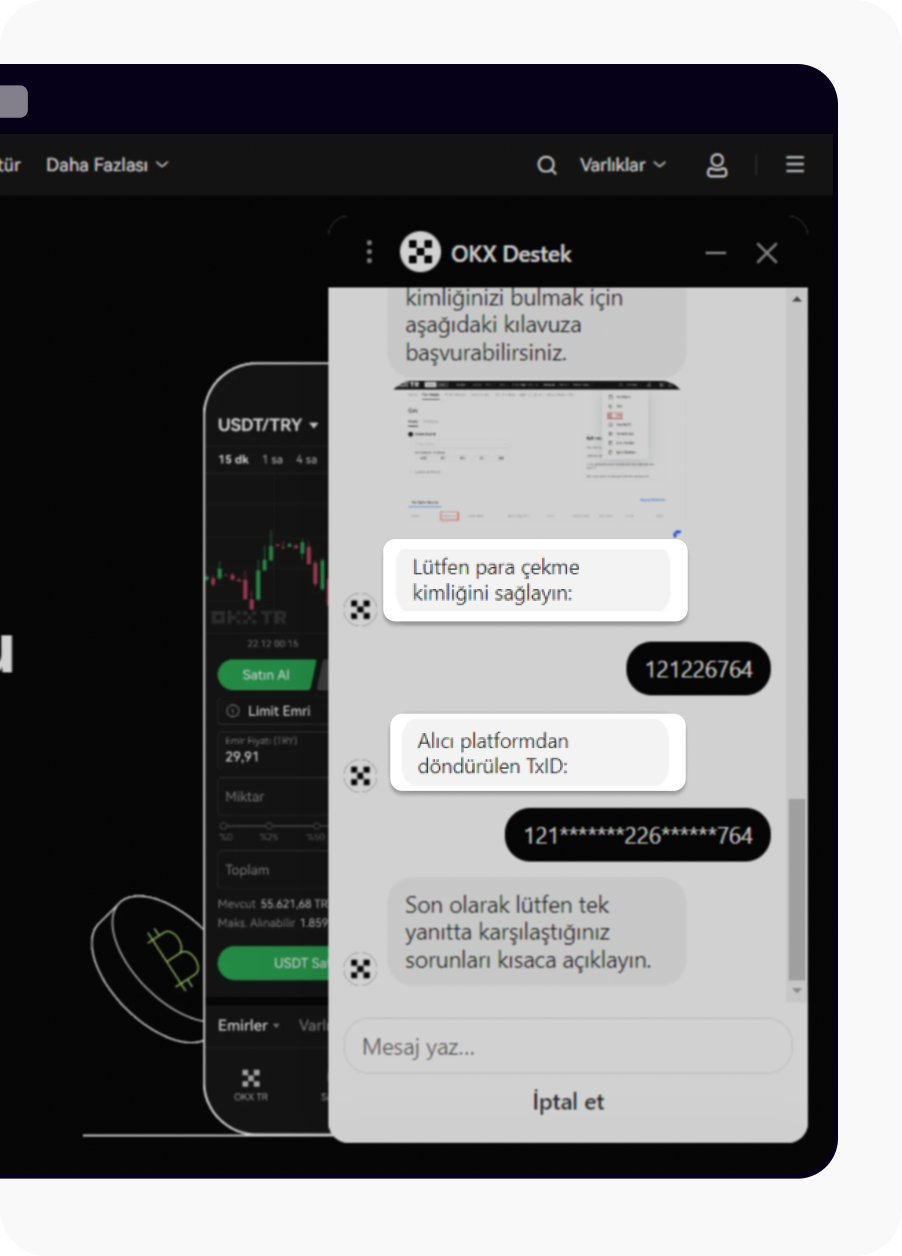 CT-web-chatbot-5